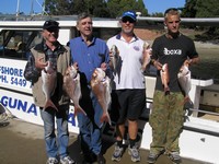 Noosa Deep Sea Fishing Snapper