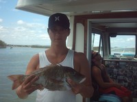 Sunshine Coast Fishing Charter Sweetlip