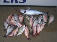 Moses and Pearly catch 