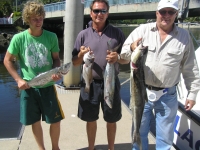 SPotted Mackerel and Cobia