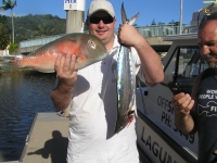 David Parrot and Spotty Mackerel