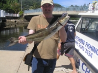 Eddie's Cobia