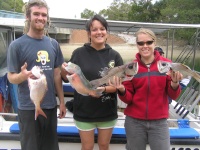 Queensland Fishing Charter Amanda's Fish