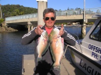 Queensland Fishing Charter Parrot Fish From Massouds Reef