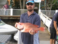 Fishing Noosa Scarlet