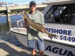 Queensland Fishing Charter Cobia