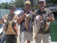 Noosa fishing Johns Snapper and Parrot