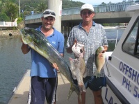 noosa fishing dolphin fish