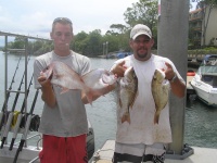 fishing noosa Snapper and Sweetlip