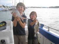 Sunshine coast fishing Squire and Grunter Bream