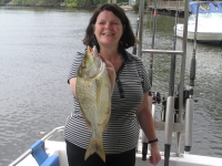 Sunshine Coast fishing charter Yellow Sweetlip