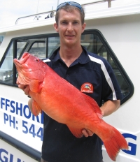 Noosa Fishing Skipper Mark