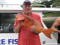 Noosa Fishing Trout