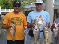 Noosa Fishing Mowong