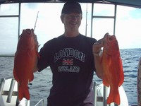 Noosa Reef Fishing Coral Trout