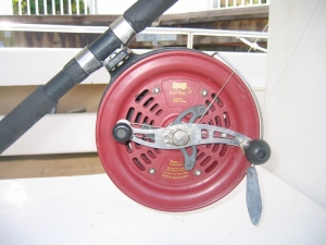 Noosa reef Fishing Alvey Reel