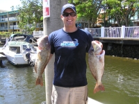 Noosa fishing Bens Sweetlips