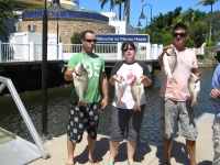 Noosa Fishing Sweetlip