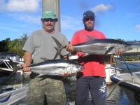 longtail tuna