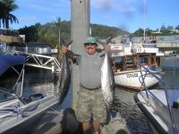 Northern Bluefin Tuna