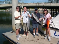 Trout Mackerel and kingy