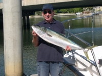 Greames Kingfish