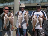 Noosa fishing charter Phantom and Marc Snapper