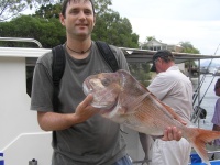 sunshine coast fishine charter Roberts snapper