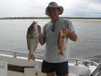 Noosa Deep Sea fishing Sweetlip