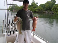 Noosa Fishing Parrot Fish