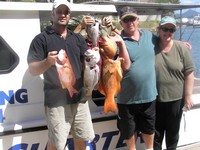 Noosa Fishing Mixed bag