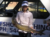 Sunshine coast fishing charter Cobia