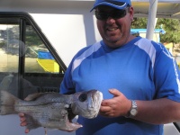 Sunshine coast fishing charter Pearl Perch