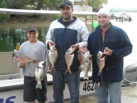 Sunshine Coast fishing Charter Snapper