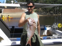 Noosa fishing charter Peter Miglis Snapper Noosas Laguna CHarters