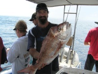 Noosa Fishing Brads Snapper