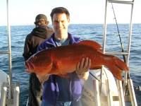 Sunshine coast fishing charter Coral Trout