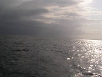 Noosa fishing charter storm coming
