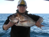 Noosa fishing charter Snapper