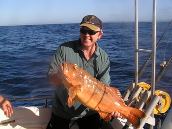 Sunshine Coast Deep Sea Fishing Coral Trout