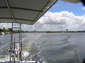 Noosa River Scenic Tour