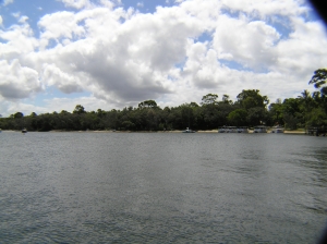 Noosa River Tours